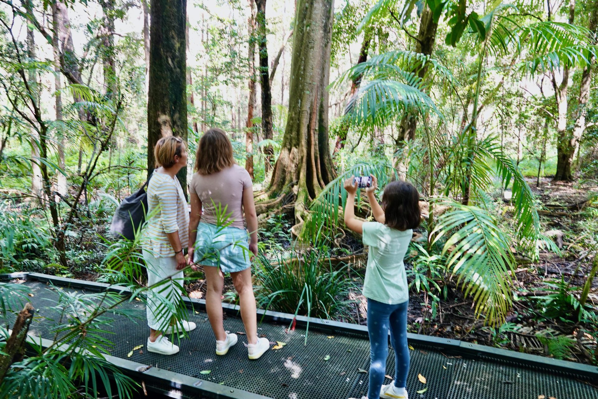 people standing in rainforest